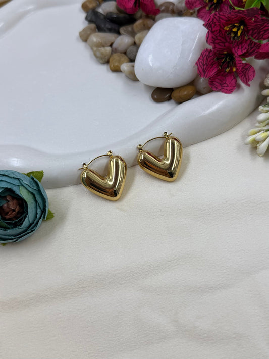 Zaria Anti-Tarnish Stainless Steel Earing