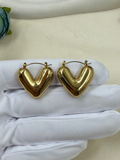 Zaria Anti-Tarnish Stainless Steel Earing
