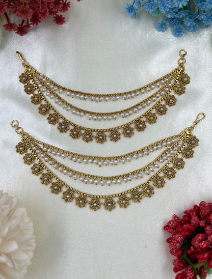 Roshni Moti Earchain