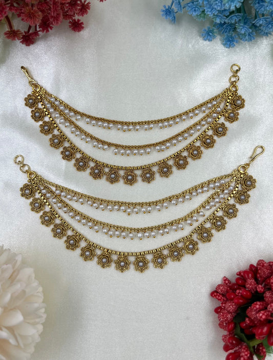Roshni Moti Earchain